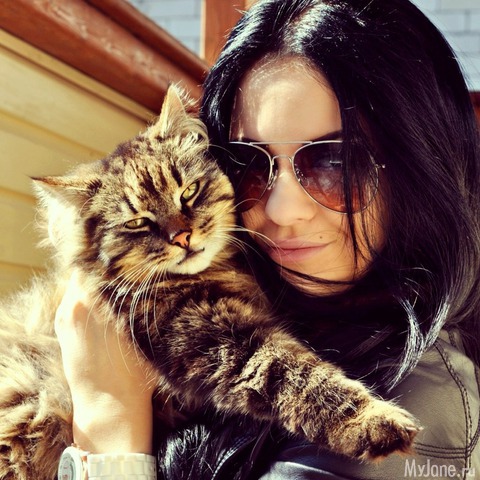 � �������****