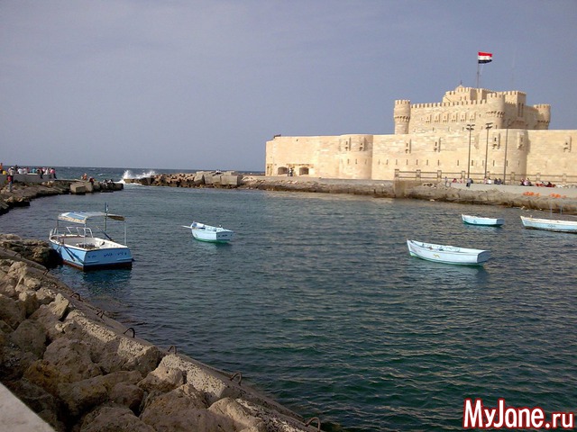 �������� ���� ��� (�����������. ������)