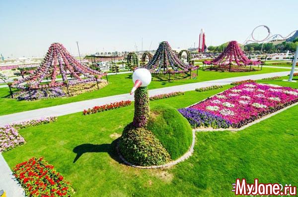 ������������ ��� (�����, ���)