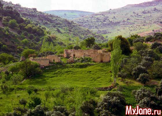 ���� (��������)