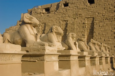 ���� � ������� (������)