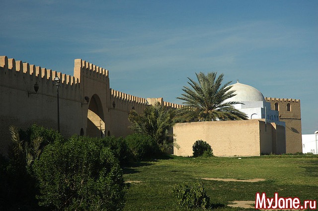 ����� �������� (�����)