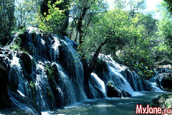 ����� ����� (�������)