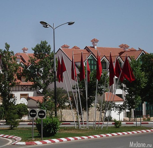 ����� ����� (�������)