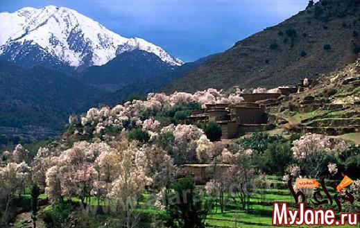 ����� ����� (�������)