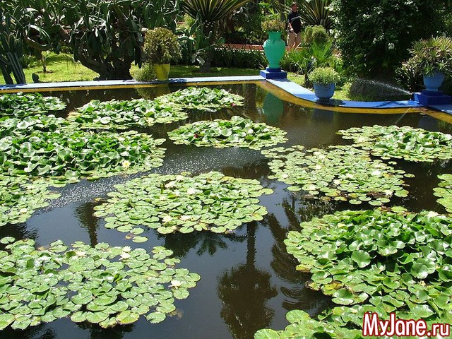 ���� ��������� (�������, �������)