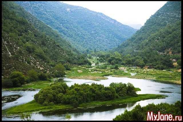 �������� ���� (�����)