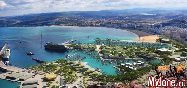 ����� ������ (�������)