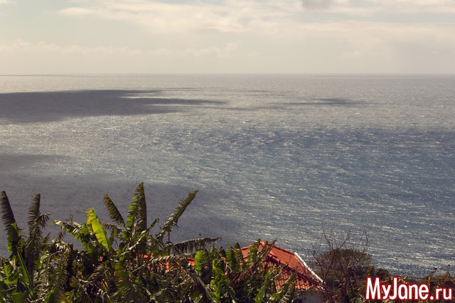 ���� ������