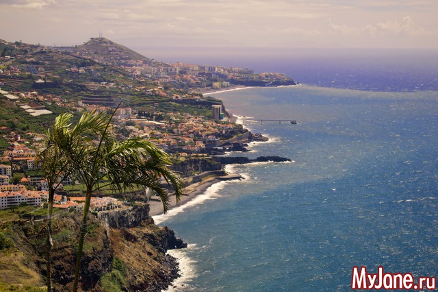 ���� ������