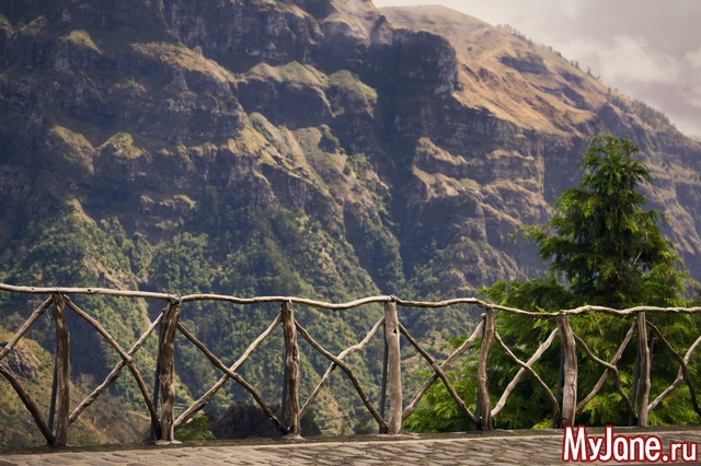 ���� ������