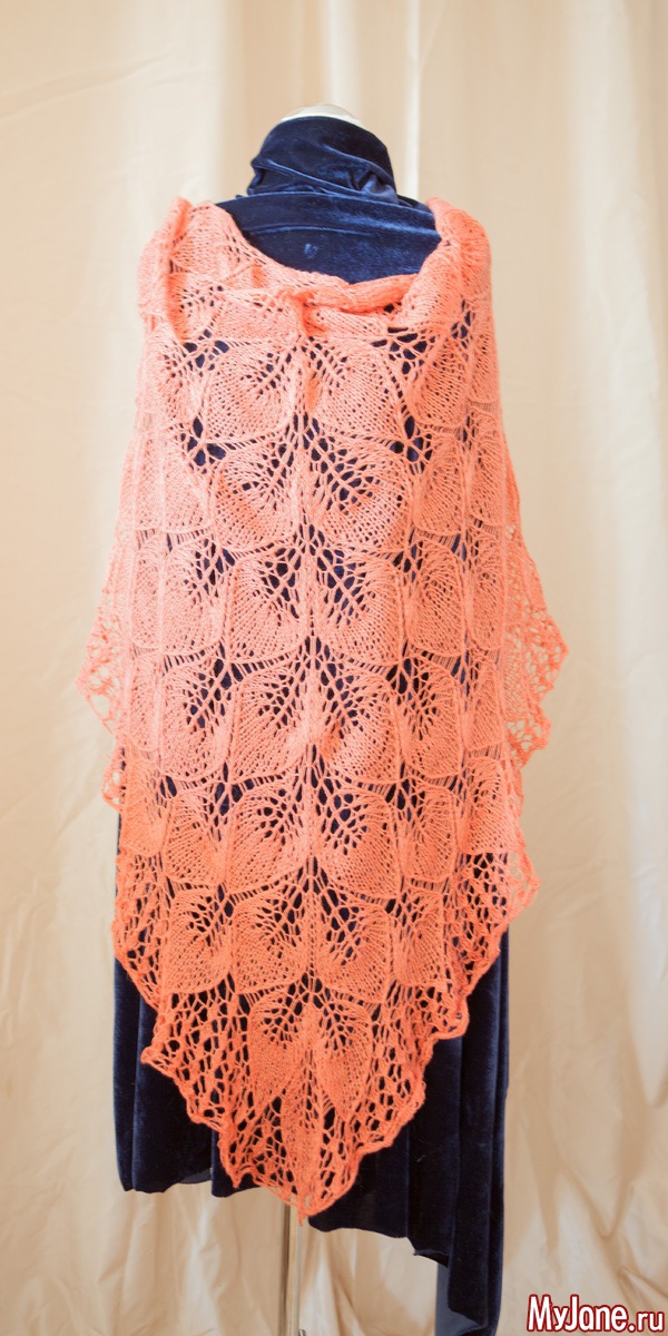 ��� ����