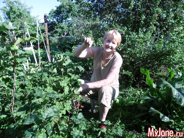 ������ ����� ������ .