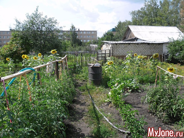 ������ ����� ������ .