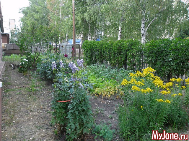 ������ ����� ������ .