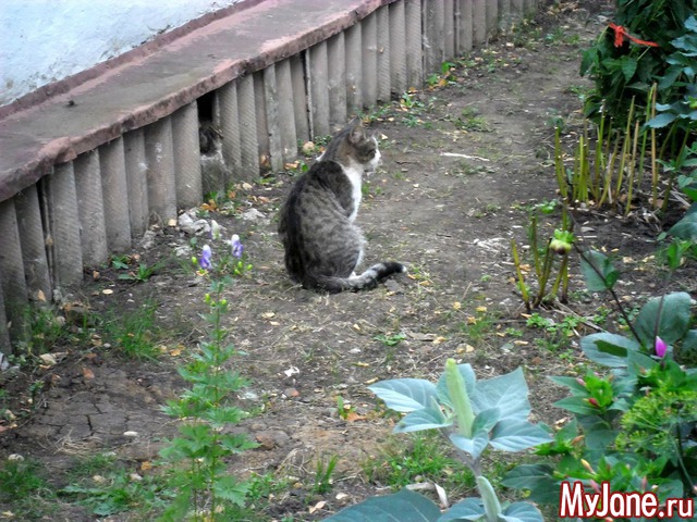 ������ ����� ������ .