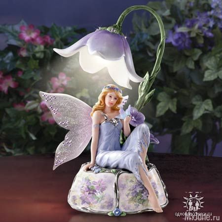 �����-�����������