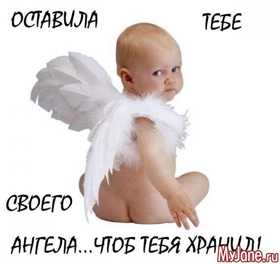 �����-���������