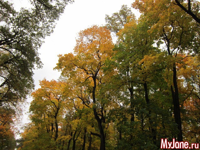 ����� � ������