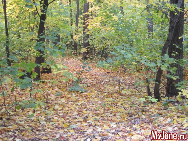 ����� � ������