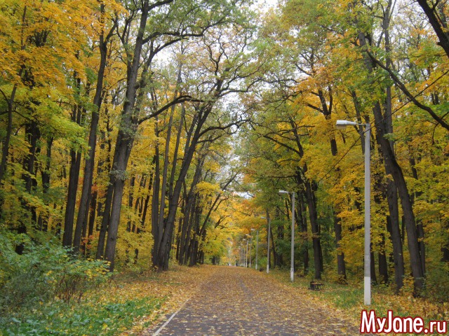 ����� � ������