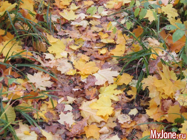 ����� � ������