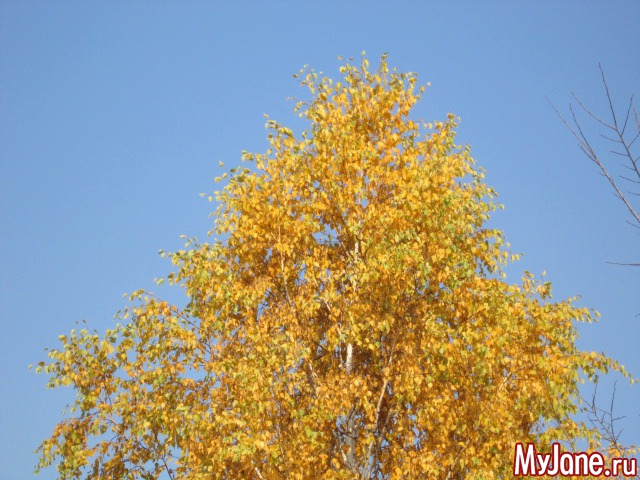 ����� � ������