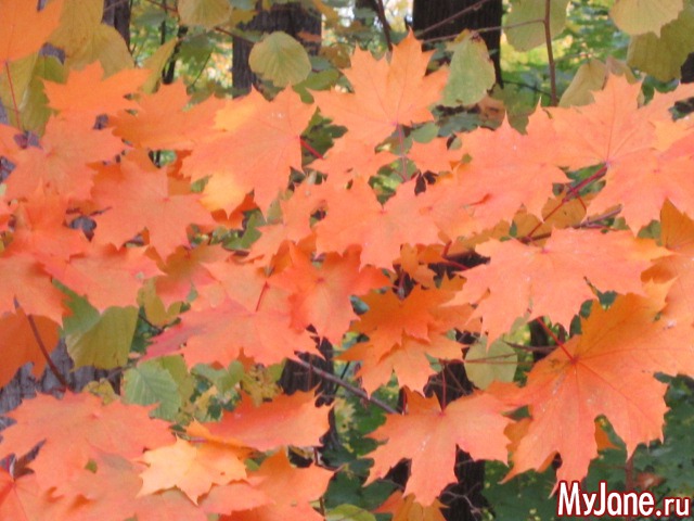 ����� � ������