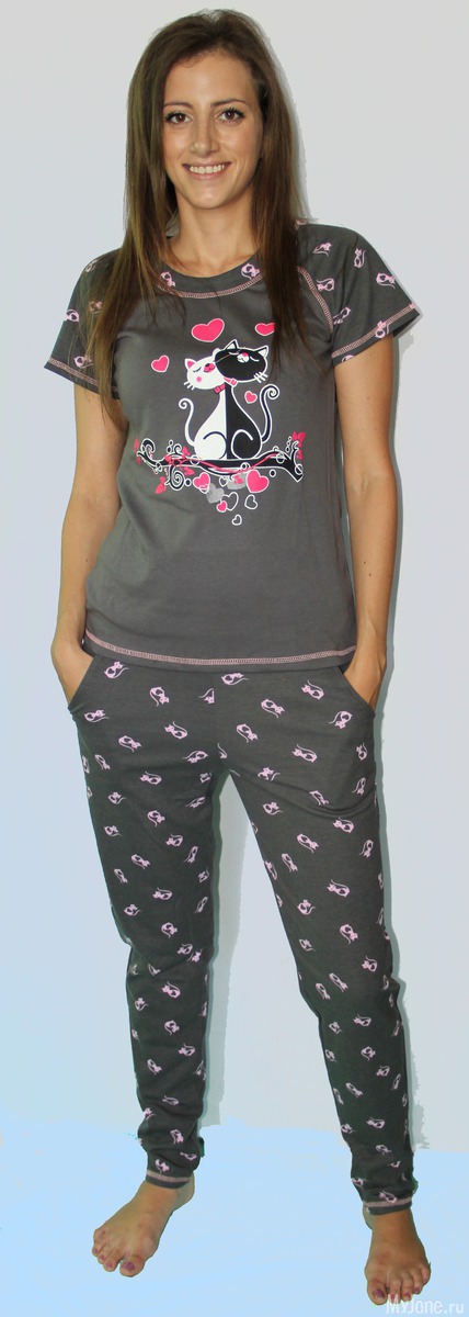 �������� ���������