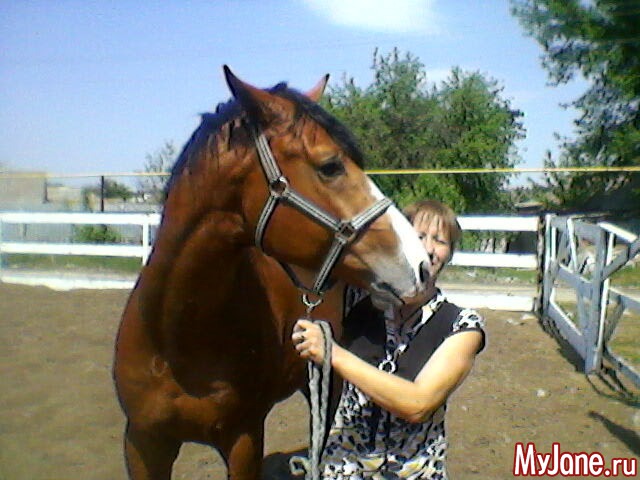 ������� ����