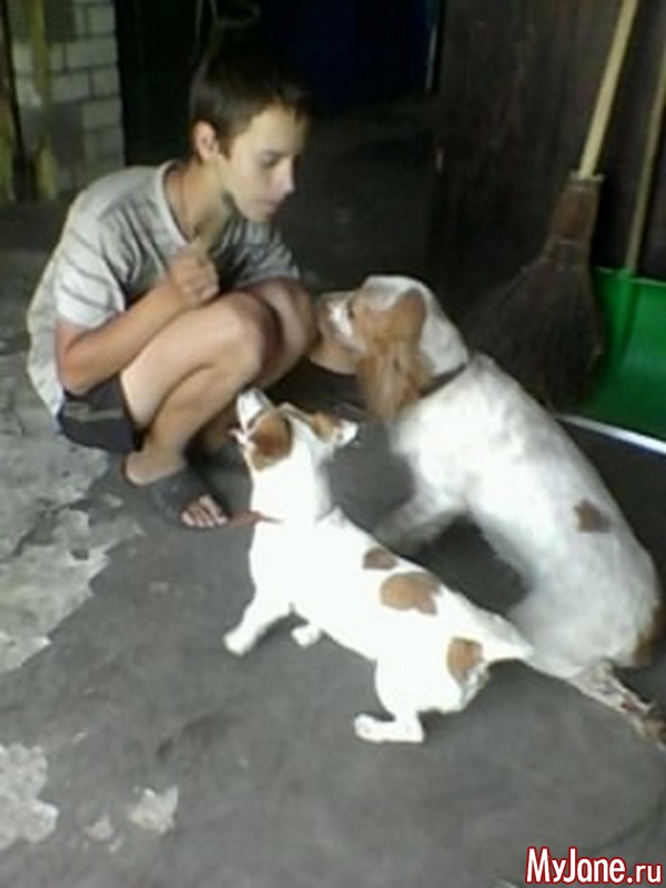 �� ������