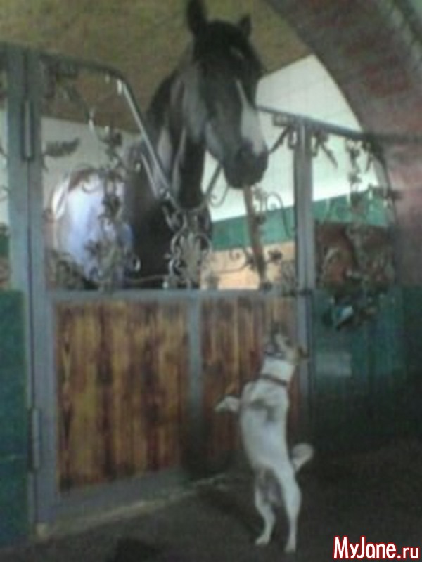 �� ������