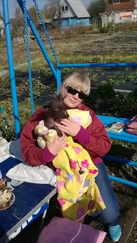 ��� ��������