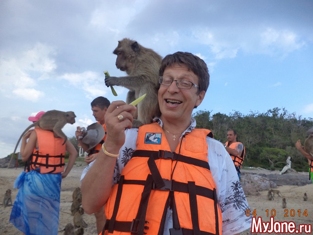 ���� ����������� � �������