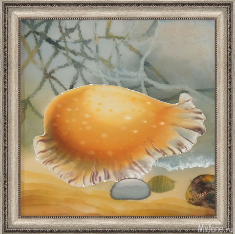 �������