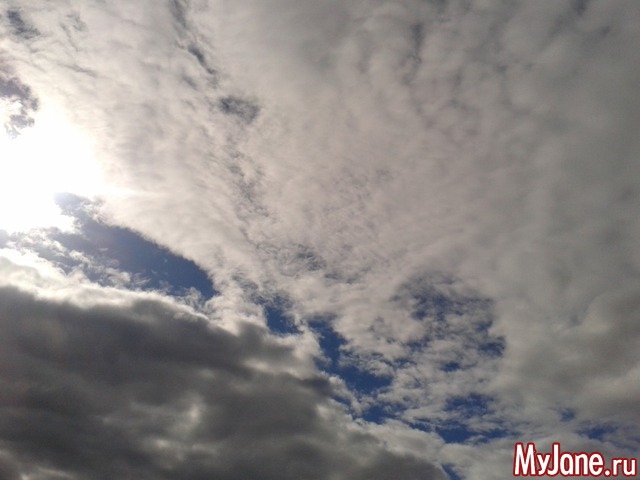 ����� �������.