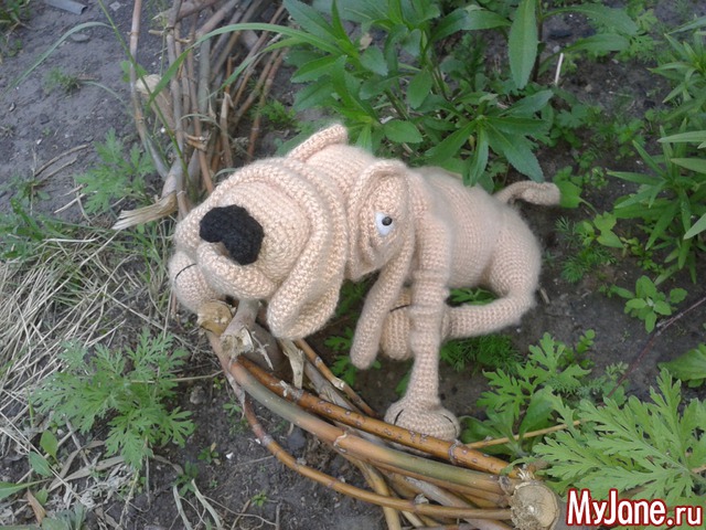 �������� ��