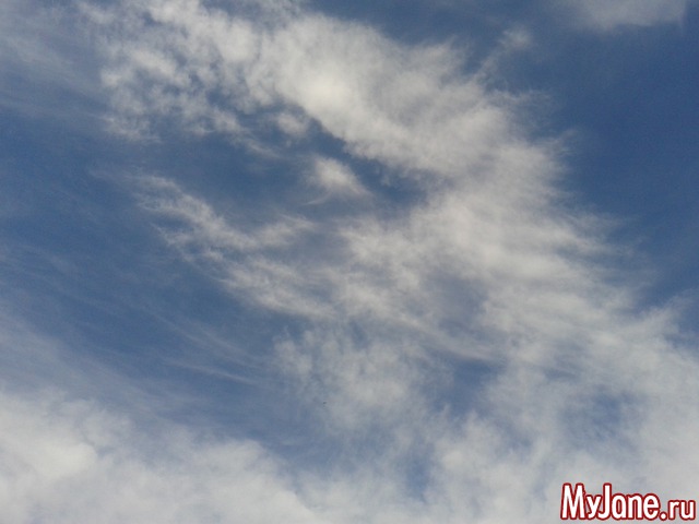 ����� �������.