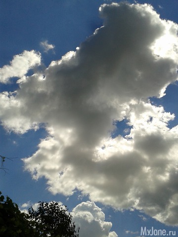 �������� ����...