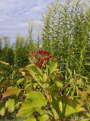 ������...