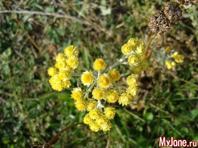 ���� �������...