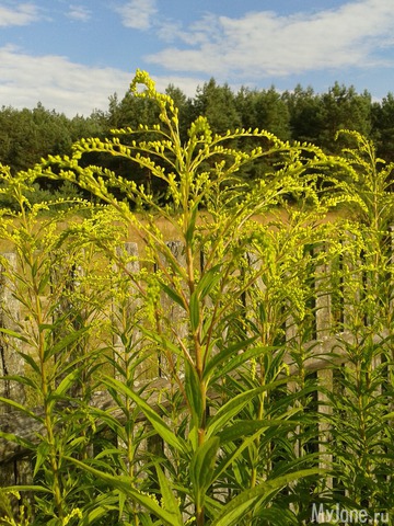 ������...