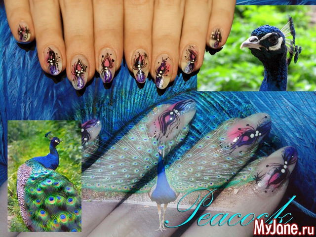 ��� �����