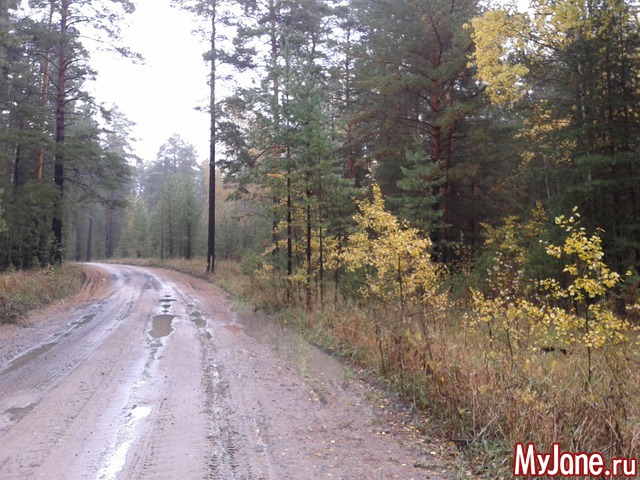 �����-��� ���� ������