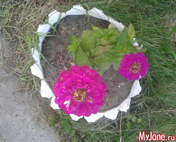 �����-��� ���� ������