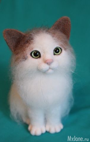 ����� ����.����� �������.