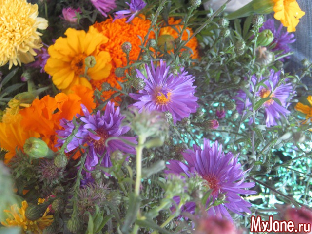 ��� ����������