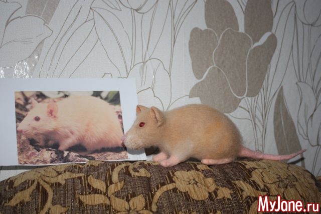 ������ ��������, ������ �� ����.