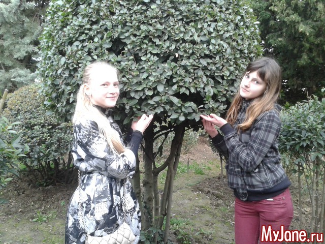 ��� ����