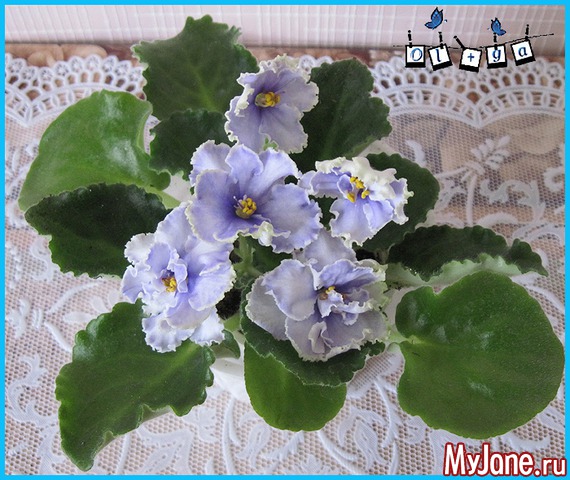 ��-�������� - ?